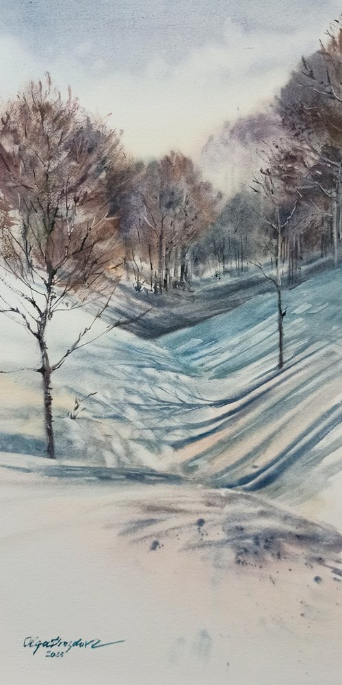 Winter shadows by Olga Drozdova