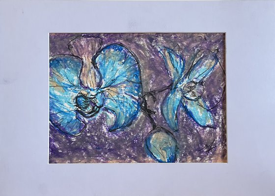Azure Orchids