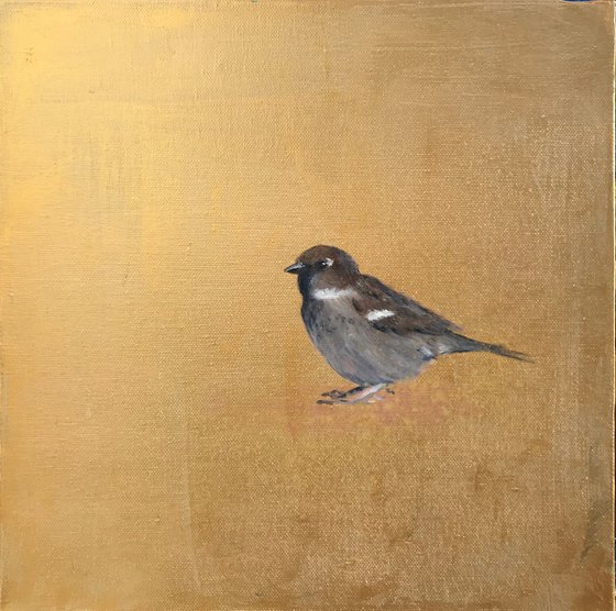 Old World Sparrow