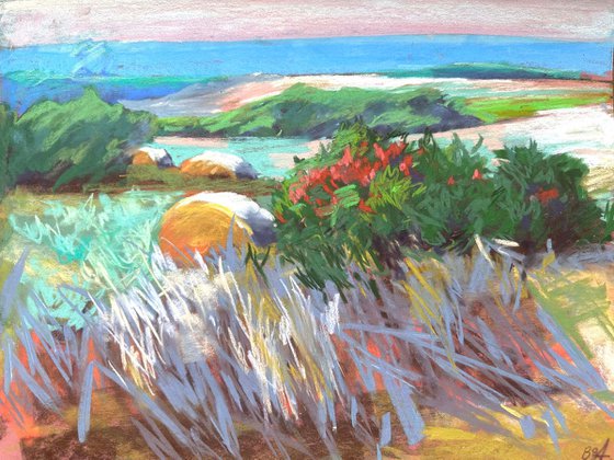 Farm field