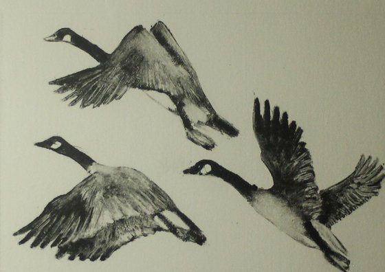 Flying Birds, Geese Monoprint, Monotype Print Framed