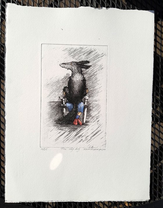 'The Lap Dog'