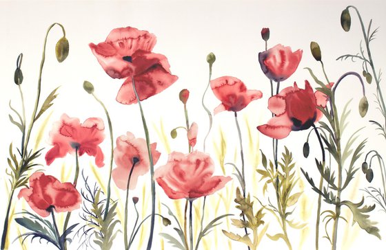 Poppies No. 4