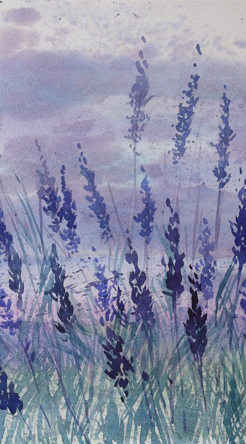 Lavender by Elena Shichko