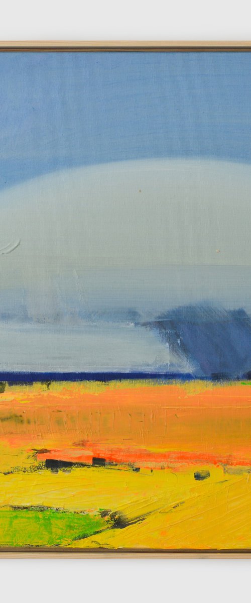 Rain over fields by Igor Nekraha