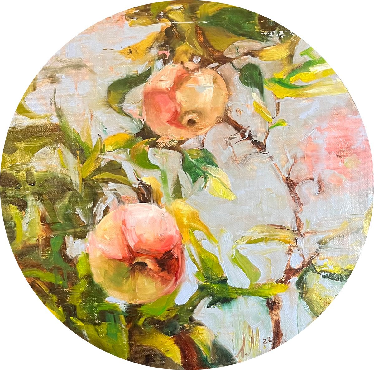 Ruddy apples by Elena Mashajeva-Agraphiotis
