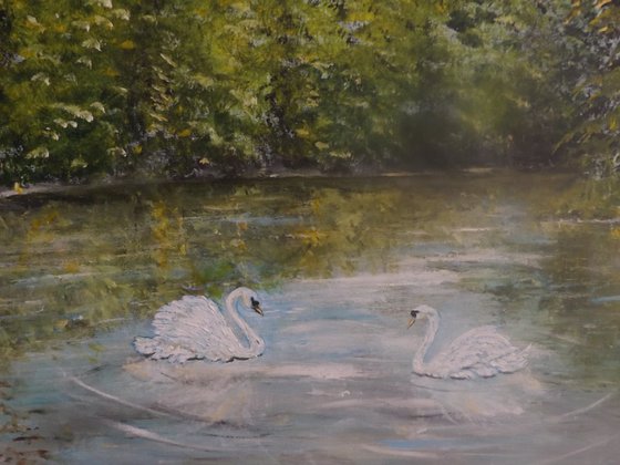 Tranquility on the Water