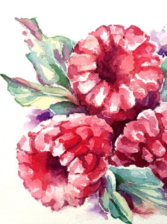 "Raspberries" from the series of watercolor illustrations "Berries"