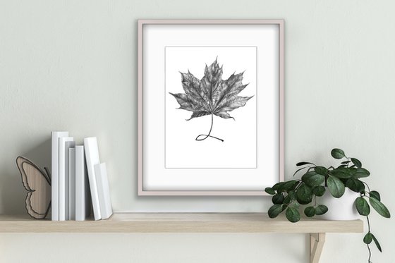 Maple leaf