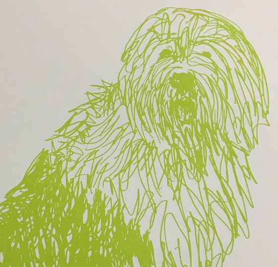 Squiggly Dulux Dog