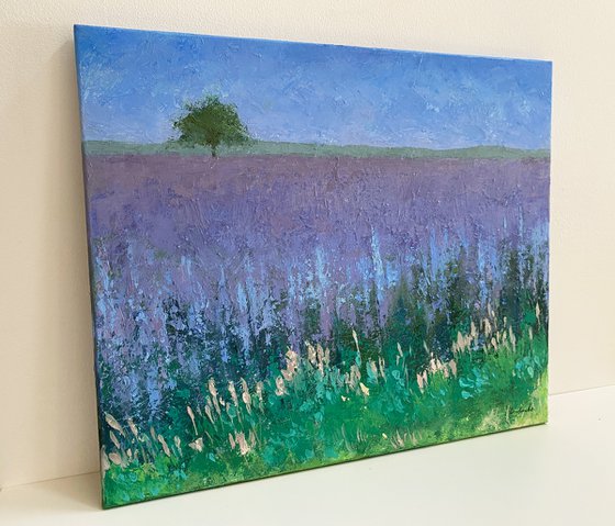 Summer Field