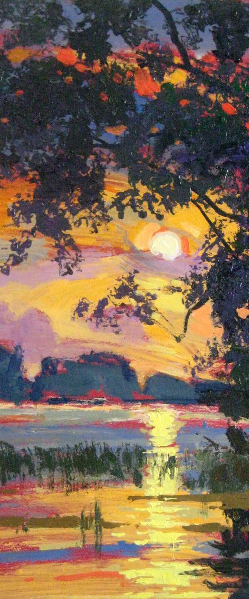 summer sunset by Sergey  Kachin