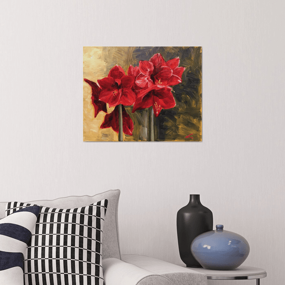 Amaryllis