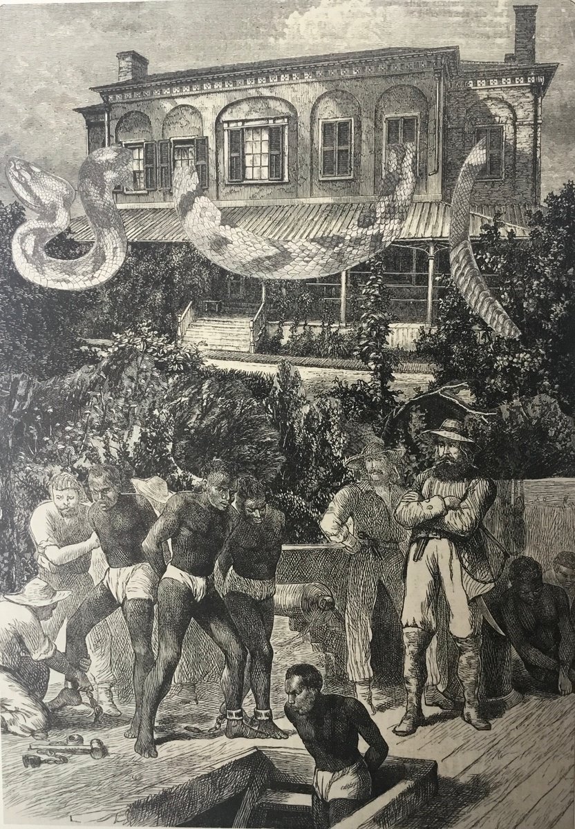 Surrealistic Portrait Collage By Tudor Evans, 6 X 9", Vipers, Original Artwork