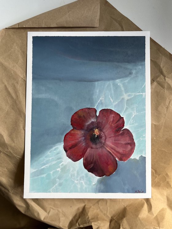 Hibiscus Water Sunlight