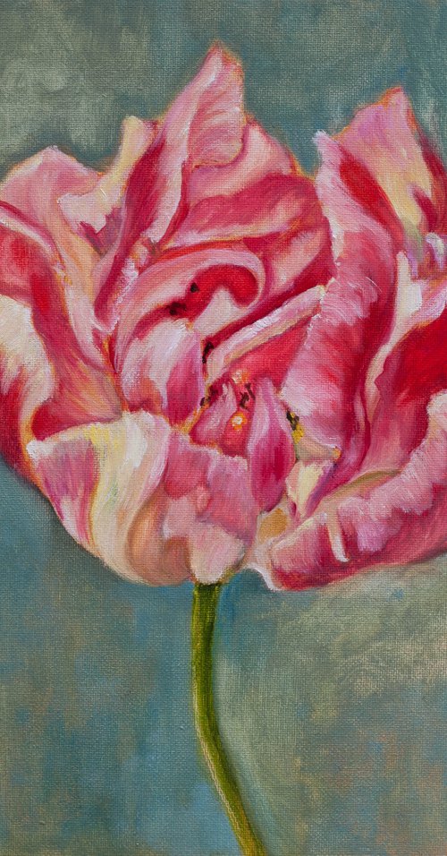 Pink Tulip by Liudmila Pisliakova