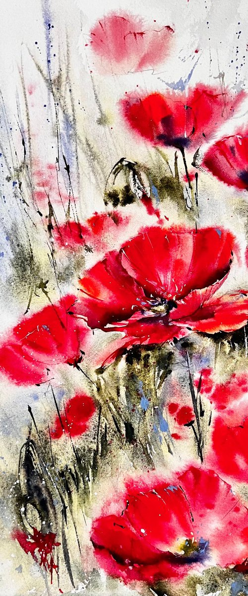 Poppy flowers in watercolor by Yana Ivannikova