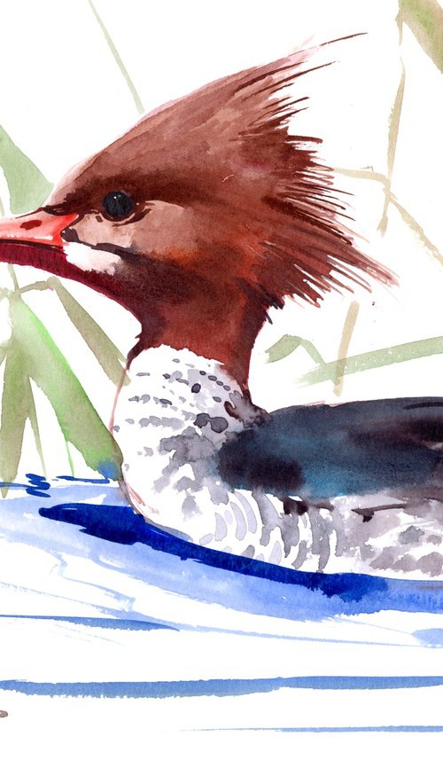 Red breasted Merganser Duck painting by Suren Nersisyan