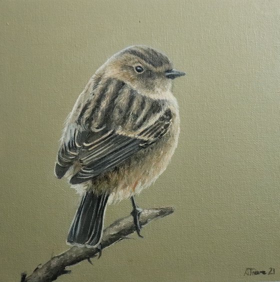Lockdown's Morning Chorus Series - Wren, Bird Artwork, Animal Art Framed