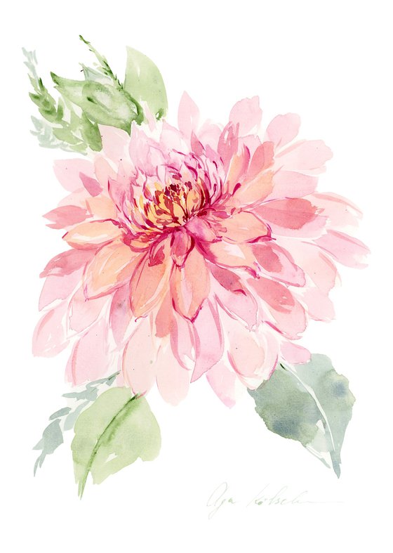 Pink Dahlia watercolor