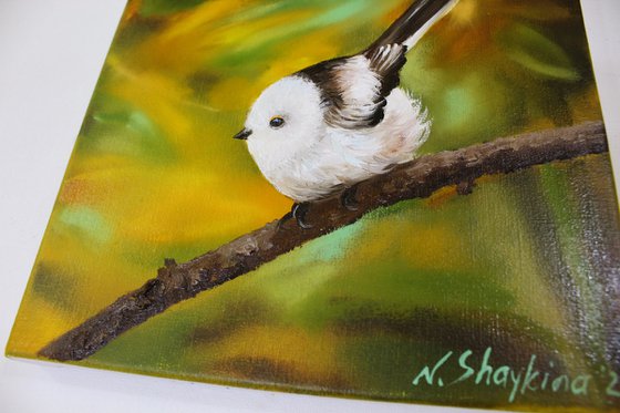 Long-Tailed Tit Bird in Autumn