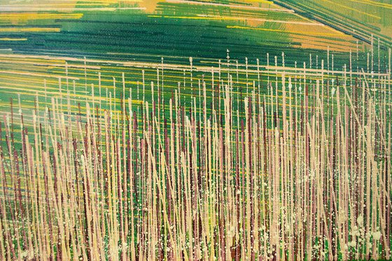 Devon Hills In Summer