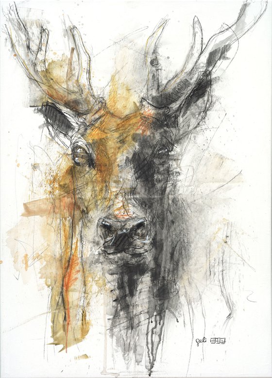 Deer (In Exhibition)