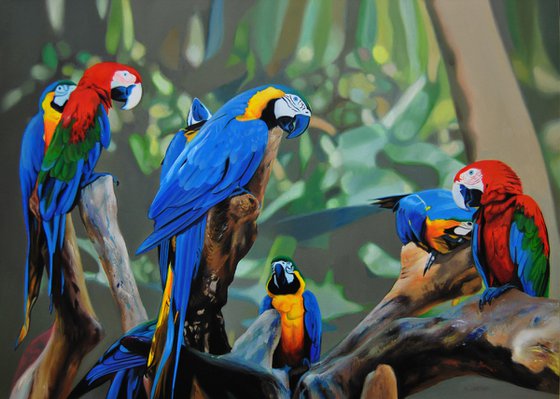 Parrots