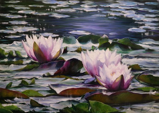 "Water lilies"