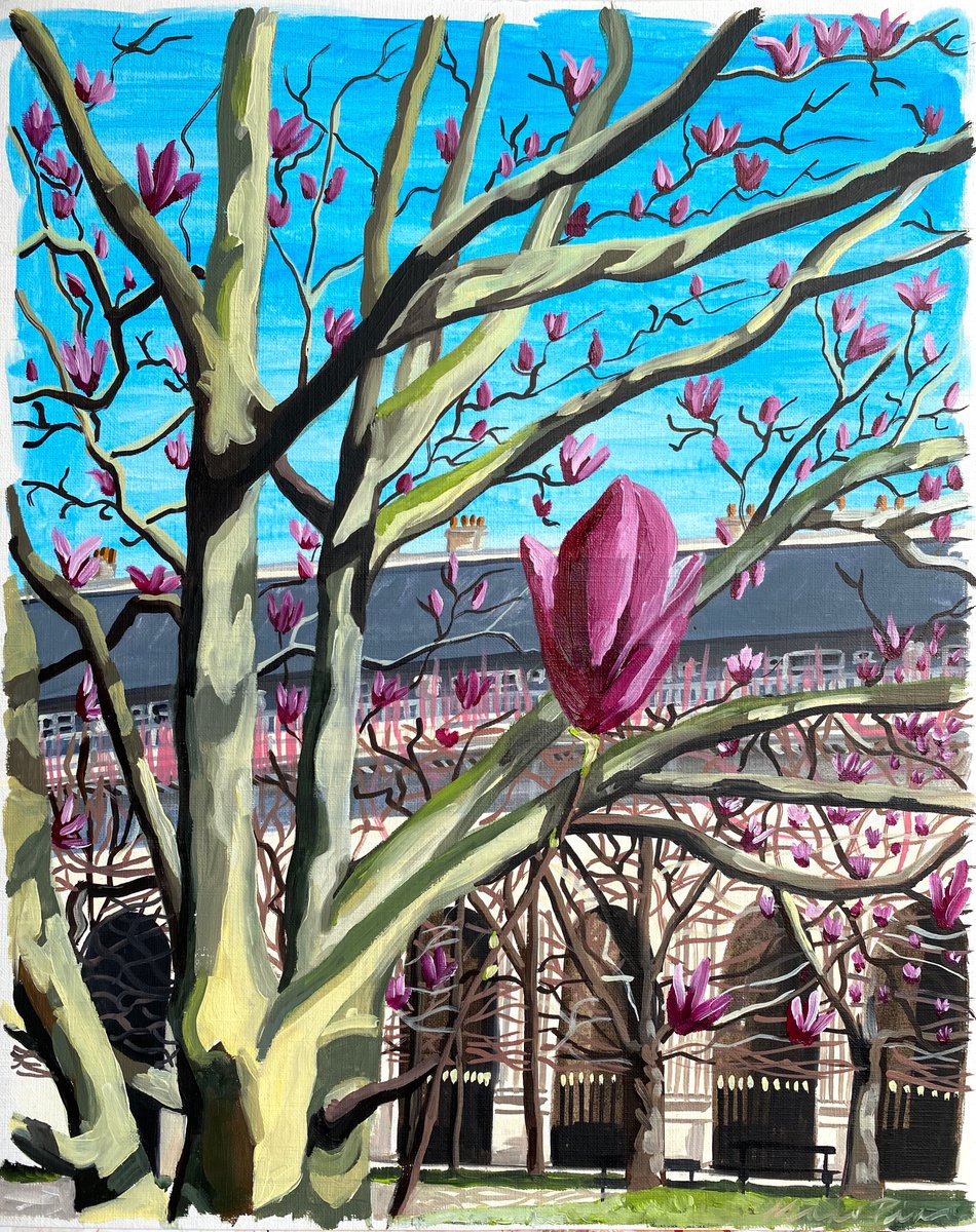 Magnolias time by MAJO PINO