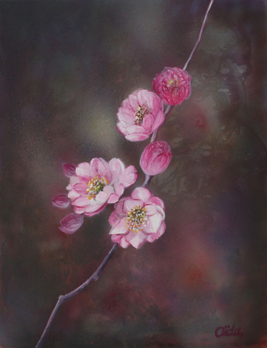 Blossom by Aida Taha