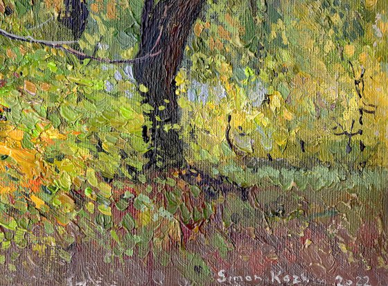 Chestnut tree in autumn. Tsaritsyno