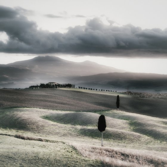 Two cypresses and a rural...