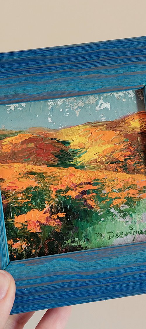 California poppy flowers by Nataly Derevyanko