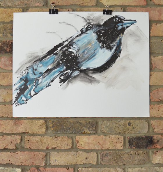 Magpie Study Two