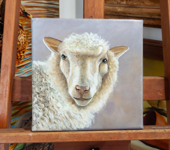Sheep