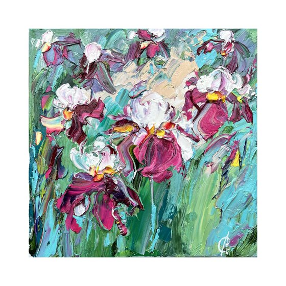 Whisper of irises