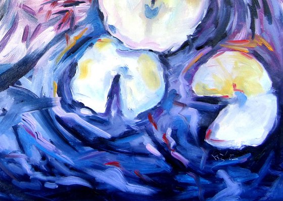 Colorful water lilies III