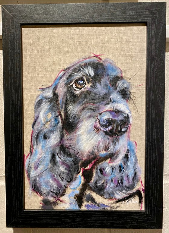 Blue - Cocker Spaniel original oil painting 12x8"