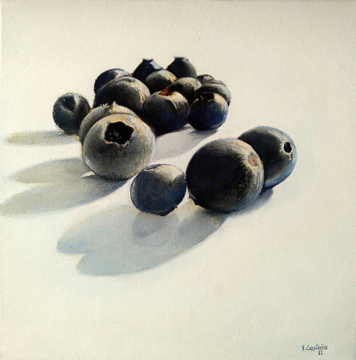 Blueberries by TOMAS CASTAAO