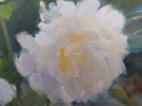 Peonies on the table