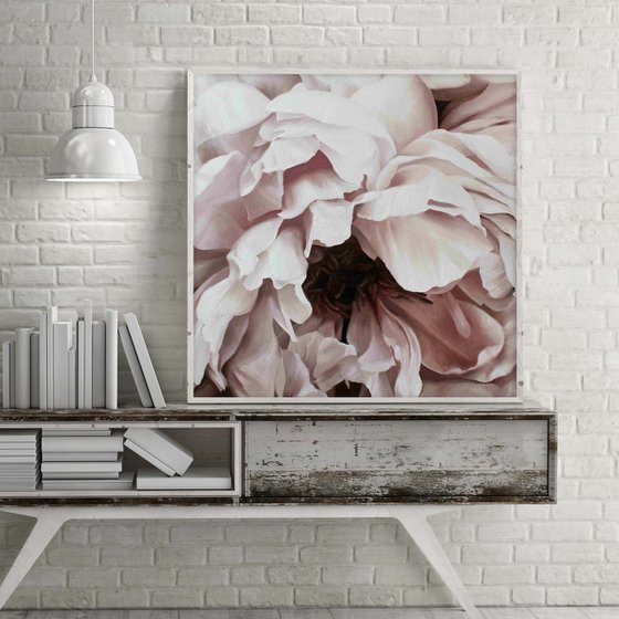 "Blossomed peony 2"  Pink white flower art