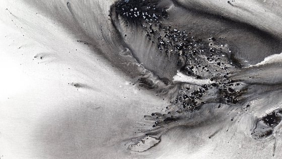 Nature 579 — Abstract Windswept Feather
