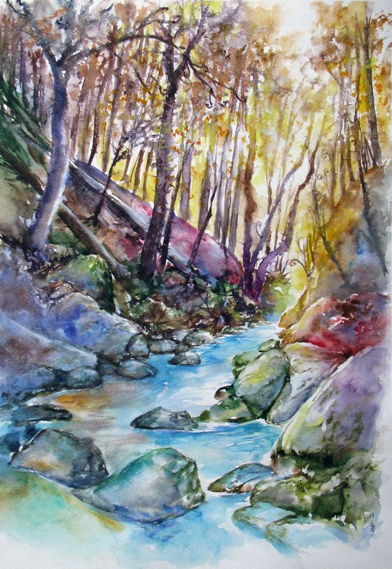 Autumnal forest