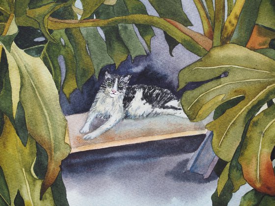 Сat and monstera leaves