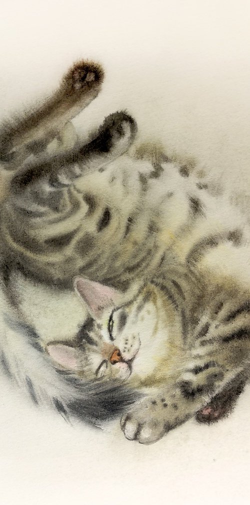 The Tabby @ Cat  watercolor by Olga Beliaeva Watercolour