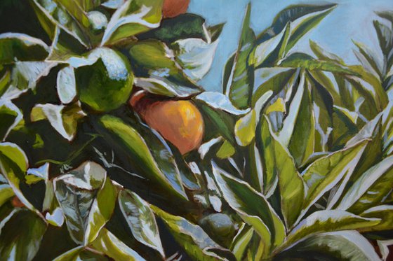 How many oranges are there?