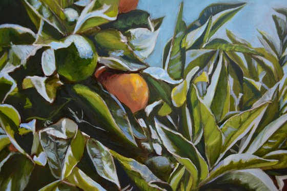 How many oranges are there? Orange tree painting