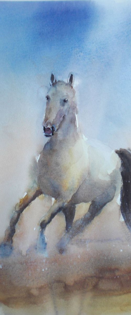 horse 2 by Giorgio Gosti