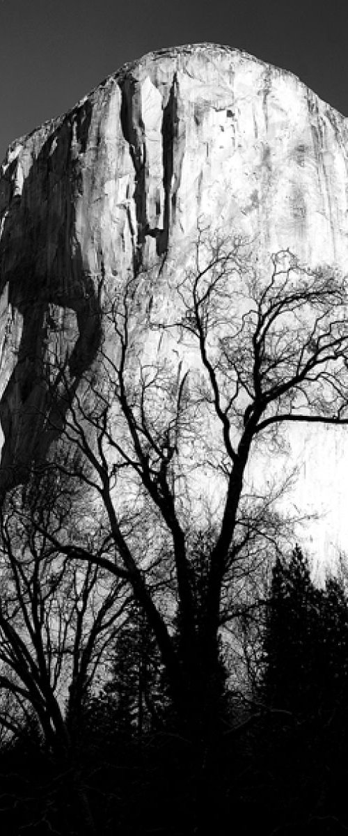 El Capitan -Yosemite National  Park by Stephen Hodgetts Photography